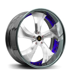Artis Forged custom built wheel Bully 