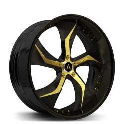 Artis Forged custom built wheel Bully 