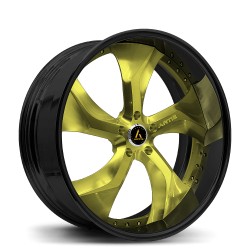 Artis Forged custom built wheel Bully 