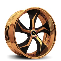 Artis Forged custom built wheel Bully 