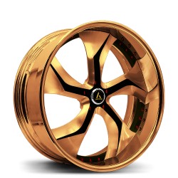 Artis Forged custom built wheel Bully 