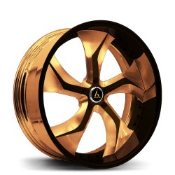 Artis Forged custom built wheel Bully 