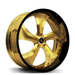 Artis Forged custom built wheel Bully 