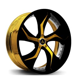 Artis Forged custom built wheel Bully 