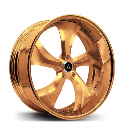 Artis Forged custom built wheel Bully 