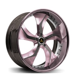 Artis Forged custom built wheel Bully 