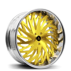 Artis Forged custom built wheel Northtown 