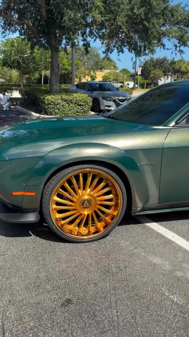 Dodge Challenger Widebody on 24s🔥
Renegade XL - Custom Gold Finish
by @coast2coastrims 

#artiswheels #customwheels #dodgechallenger #musclecar #24s